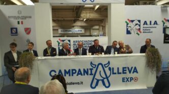 Benevento Di Nuovo Capitale De