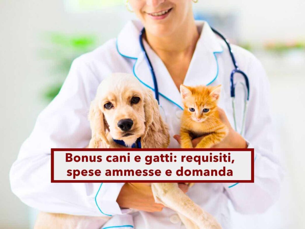 Bonus Animali D27Affezione 2024