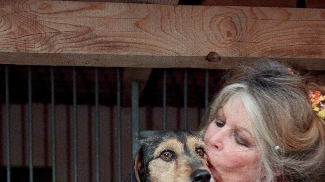 Brigitte Bardot A 90 Anni Parl