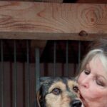 Brigitte Bardot A 90 Anni Parla Dei Rimpianti, Della Vita Reclusa E Della Battaglia Per Gli Animali