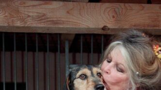 Brigitte Bardot A 90 Anni Parl