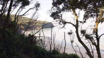 Cala Violina Si Dota Del Primo