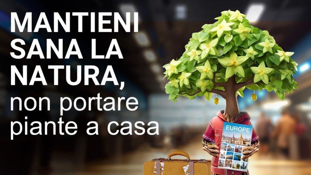 Campagna Efsa Contro Il Rischi