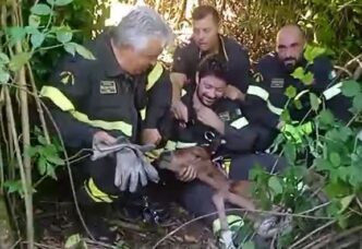 Cavallino Salvato Dai Vigili D