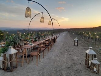 Cene Sotto La Luna Nei Vigneti
