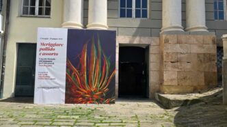 Cento Anni Di Ossi Di Seppia3A