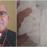 Chomali E Il Suo Impegno Concreto Per La Difesa Dei Diritti Umani Nella Chiesa Cilena