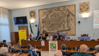 Cittadini Stranieri In Italia3A