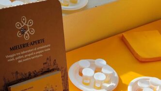 Come Conservare Il Miele E Sco