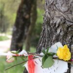 Condanna Per Incendio Doloso A Gubbio: Morte Riconosciuta Come Conseguenza Di Altro Reato