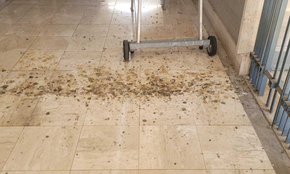 Condizioni Di Degrado Al Cimit