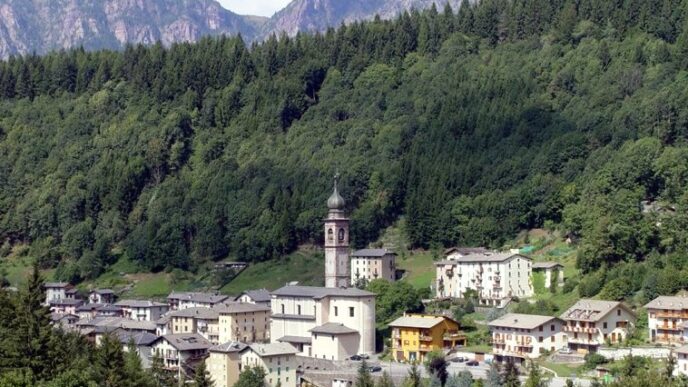 Contributi Straordinari Del Co