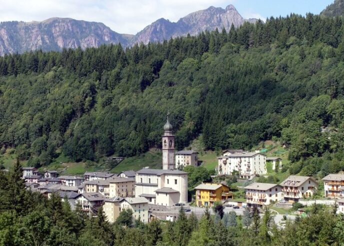 Contributi Straordinari Del Co