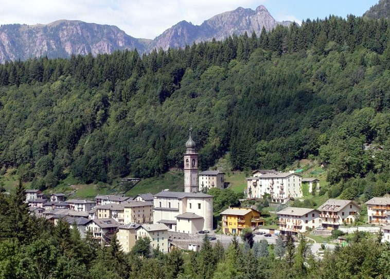 Contributi Straordinari Del Co