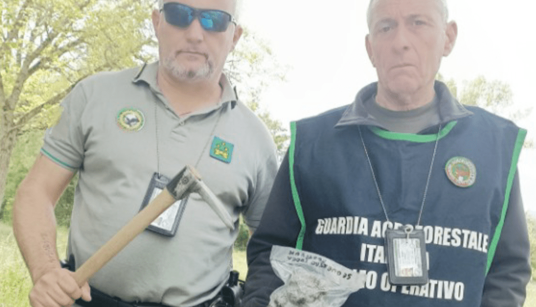 Controlli Antibracconaggio Sul