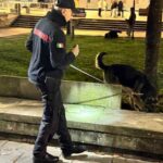 Controlli Straordinari A Formia: Tre Denunciati Per Guida In Stato Di Ebbrezza E Due Segnalati Per Droga