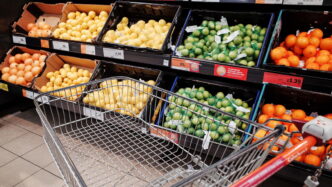 Coop Liguria3A Utile Da 12 Mili