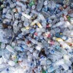 Coripet Chiude Il 2024 Con Risultati Positivi In Fatturato E Riciclo Bottiglie In Pet