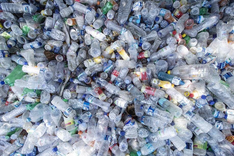 Coripet Chiude Il 2024 Con Ris