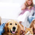 Cosa Valutare Prima Di Adottare Un Animale Domestico In Famiglia: Età, Spazio E Tempo A Disposizione