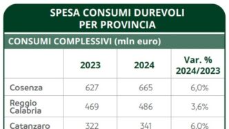 Crescita Della Spesa In Beni D