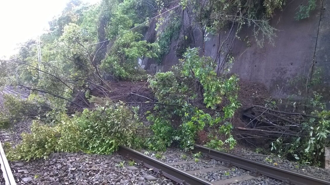 Disagi Sulla Linea Ferroviaria