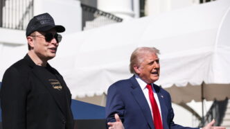 Donald Trump Ed Elon Musk Insi