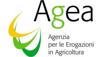 Due Delegazioni Da Georgia E M