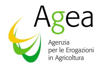 Due Delegazioni Da Georgia E M