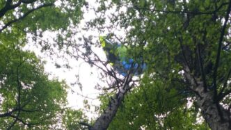 Due Parapendii Sospesi Tra I R