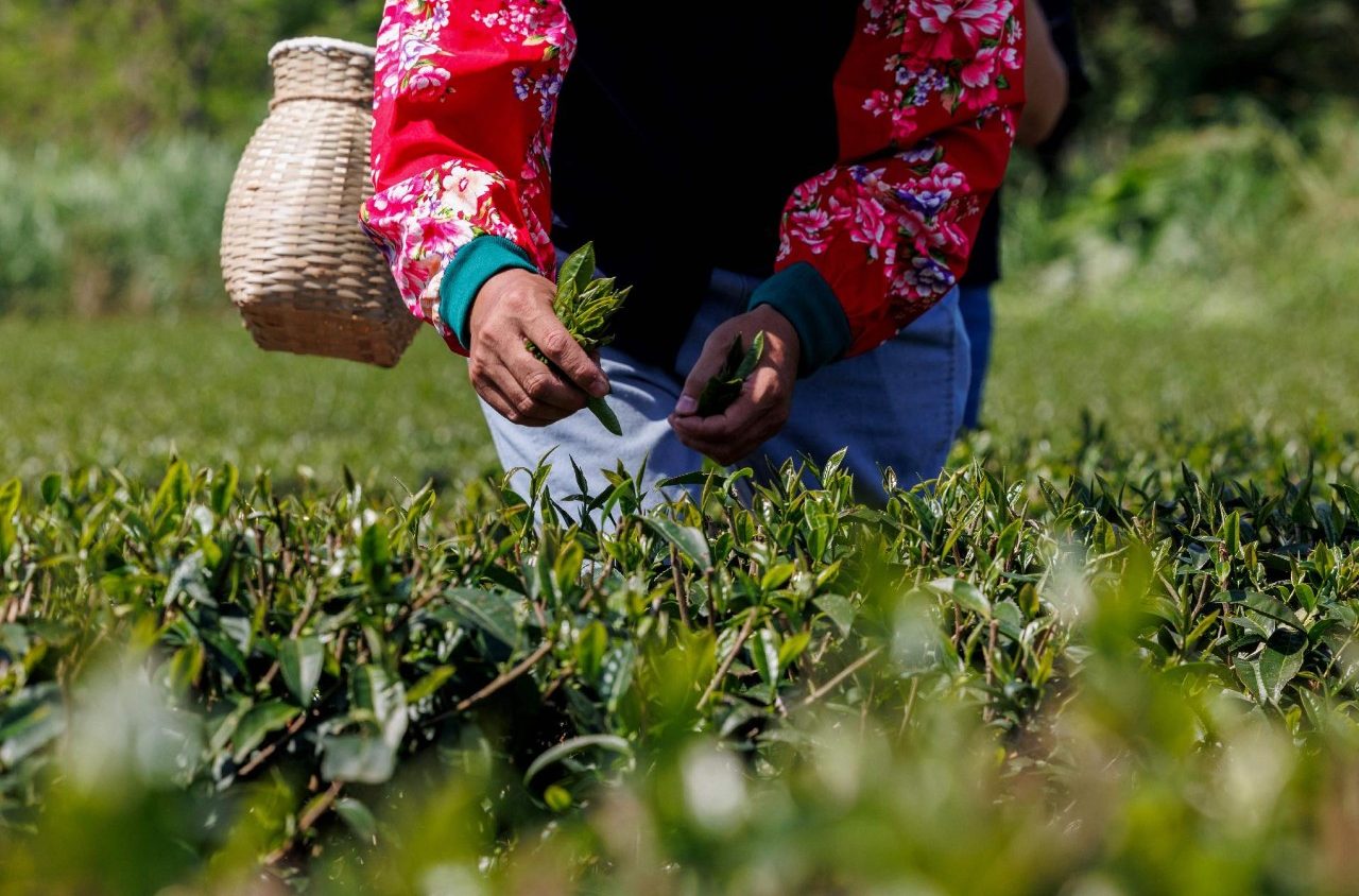 Economia Sabbatica E Sviluppo