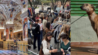Eventi E Mercatini Gratuiti A