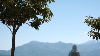 Fornelli In Molise Diventa Il