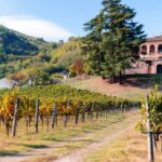 Giornata Mondiale Della Biodiversità 2025: Eventi E Visite Guidate Nei Luoghi Più Suggestivi D’italia