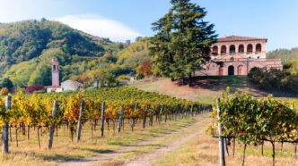 Giornata Mondiale Della Biodiv
