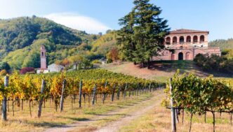 Giornata Mondiale Della Biodiv