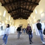 Giubileo 2025: Come L’Evento Ha Impattato Le Attività Economiche E Turistiche Della Tuscia