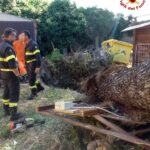 Grande Albero Cade Su Oratorio Parrocchiale A Cerveteri: Emerge Una Cisterna Etrusca Durante Le Operazioni