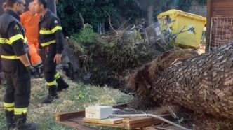 Grande Albero Cade Su Oratorio