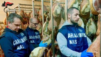 Gravi Irregolaritc3A0 Sanitarie E