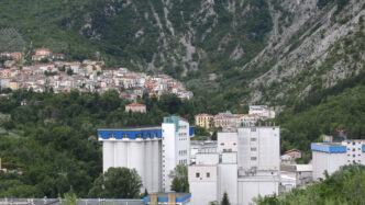 Gruppo De Cecco Registra Ricav