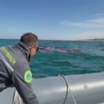 Guardia Di Finanza Salva Turista Tedesco In Difficoltà Durante Windsurf A Torre Di Porticello