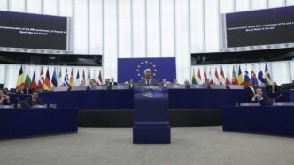 I Gruppi Politici Del Parlamen