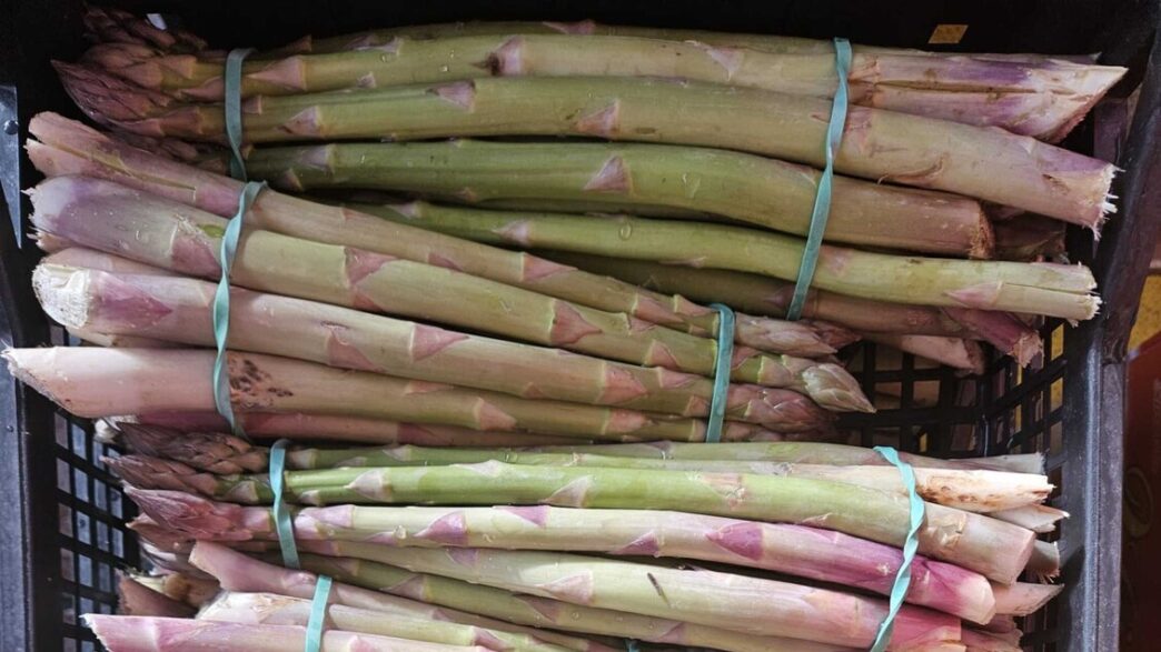 I Prezzi Degli Asparagi Verdi
