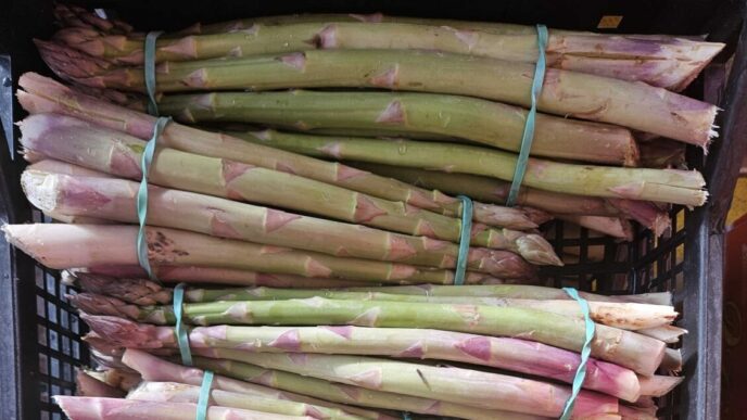 I Prezzi Degli Asparagi Verdi