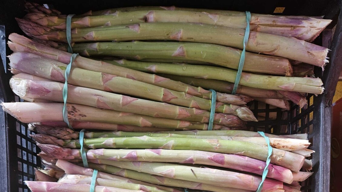 I Prezzi Degli Asparagi Verdi