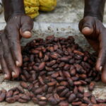 Il Ciheam Bari Protagonista A Codeway Expo 2025 Con Focus Su Cooperazione Italia-Africa Nel Agroalimentare