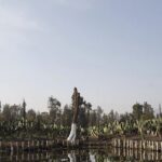 Il Messico Porta Le Chinampas, Sistema Agricolo Millenario, Alla 19ª Biennale Di Venezia