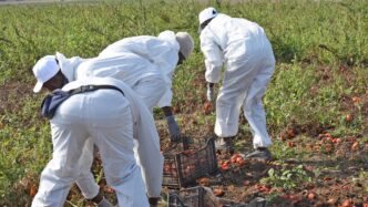 Il Business Delle Agromafie Su