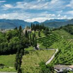 Il Cammino Tra Le Colline Di Conegliano E Valdobbiadene: Quattro Tappe Tra Storia E Natura